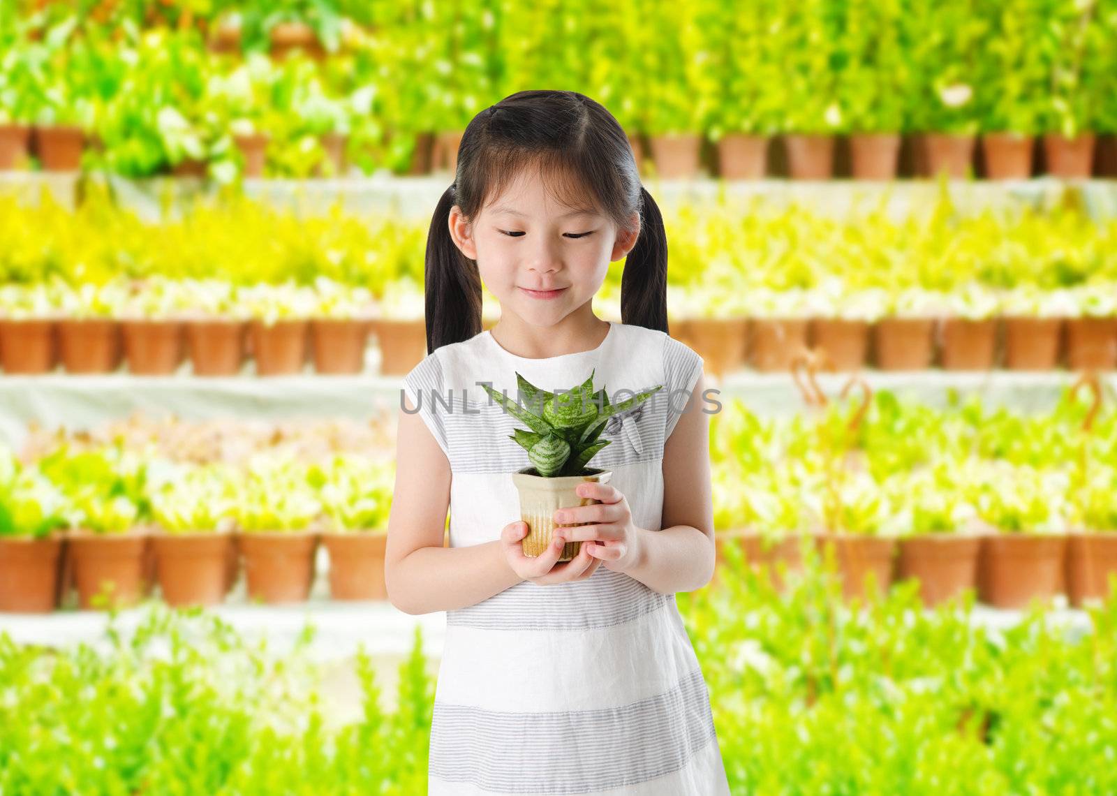 Concept of little girl holding a plant on white background