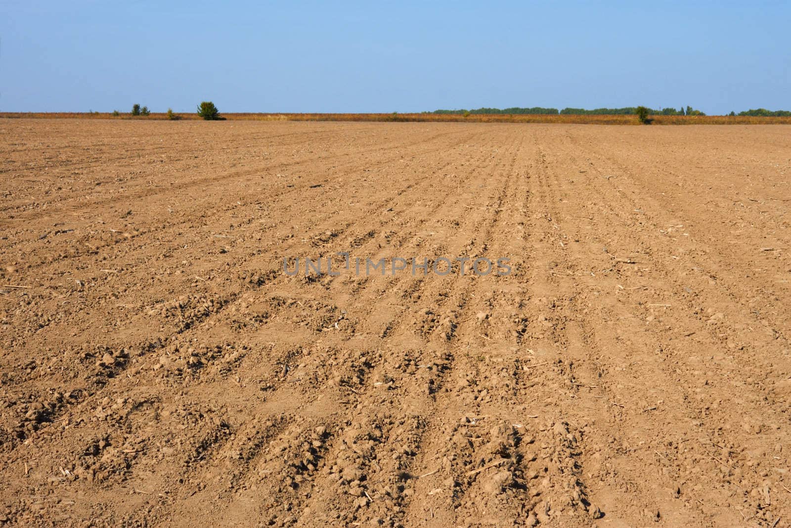 Furrows in the field by qiiip