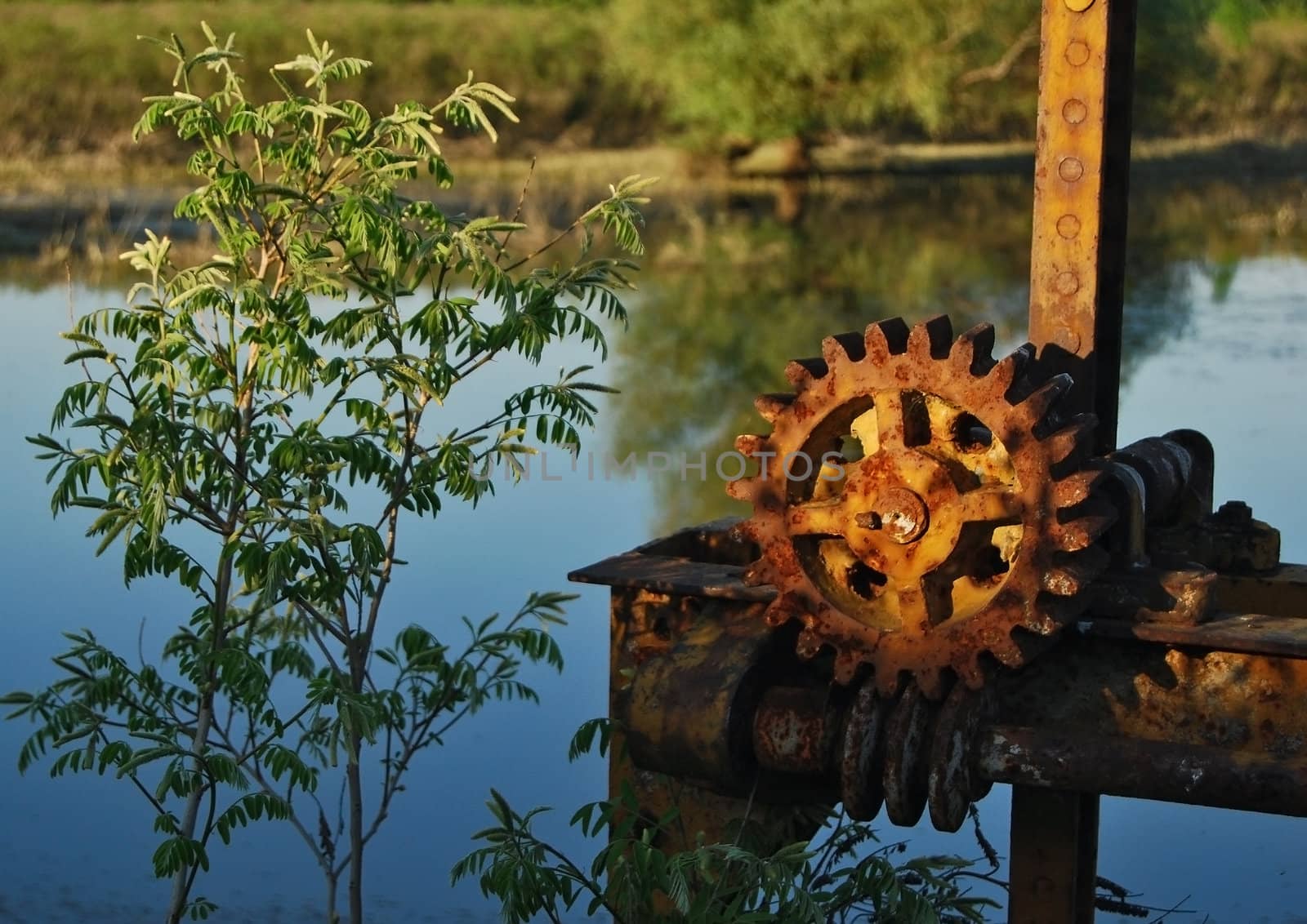 Old rusty gear equipment at river waters