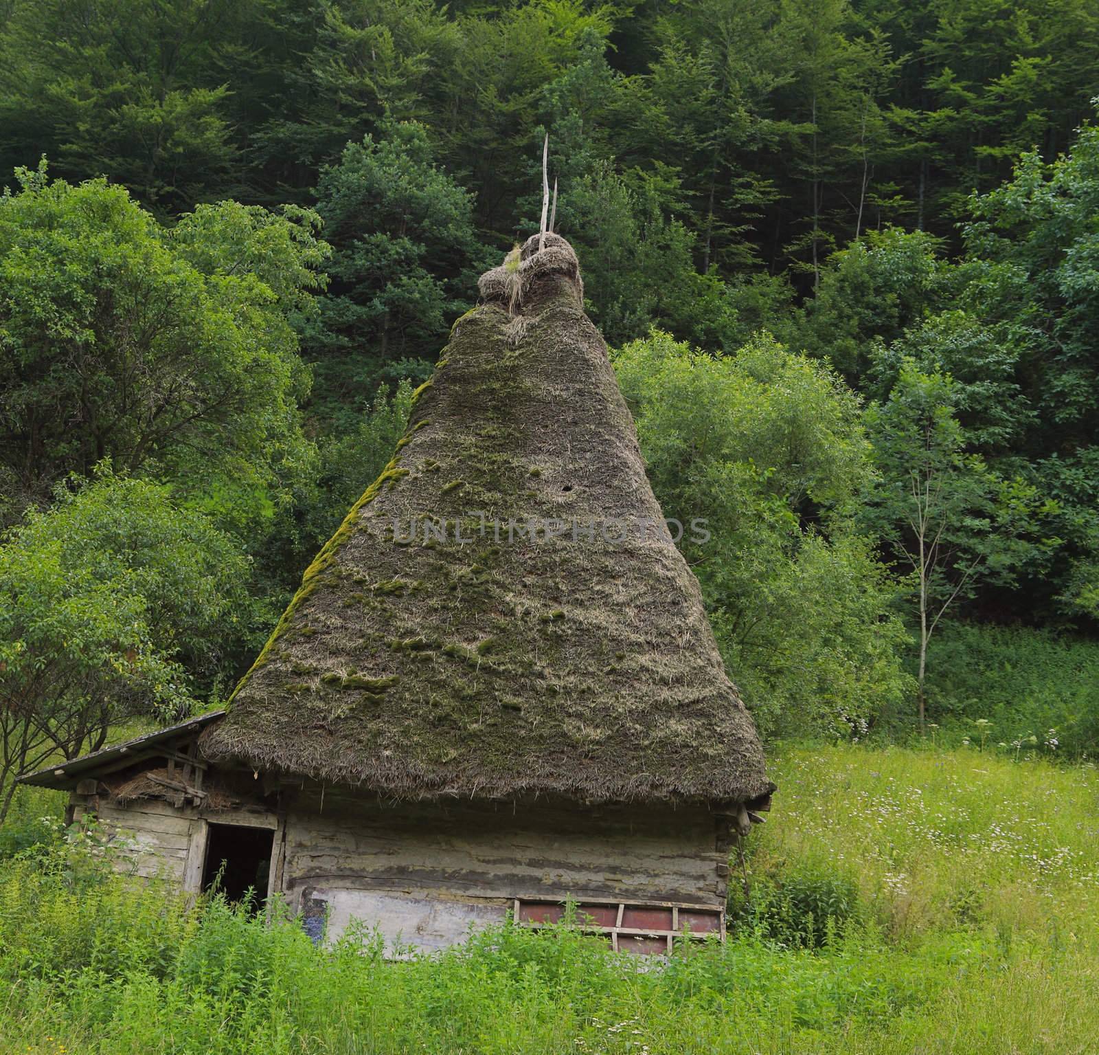 A very traditional house, specific for Motilor Country in Transylvania,Romania. These houses are made exclusively of wood without any piece of iron. Now such buildings are used in wild areas as stalls or barns for animals.