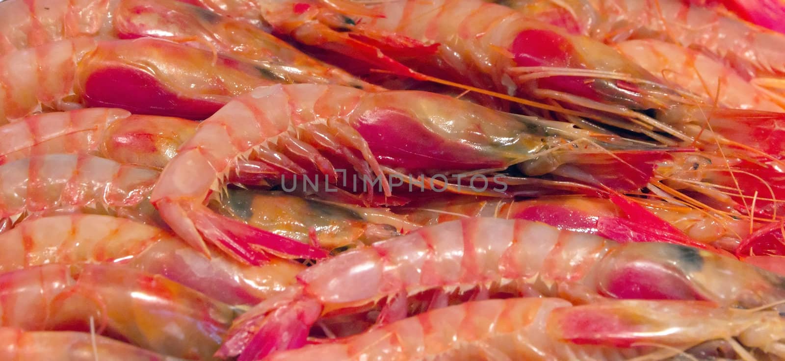 Background of fresh cooked heap prawns