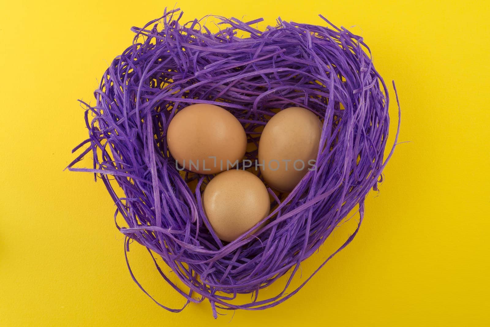 Heart shaped violet nest with eggs on yellow background