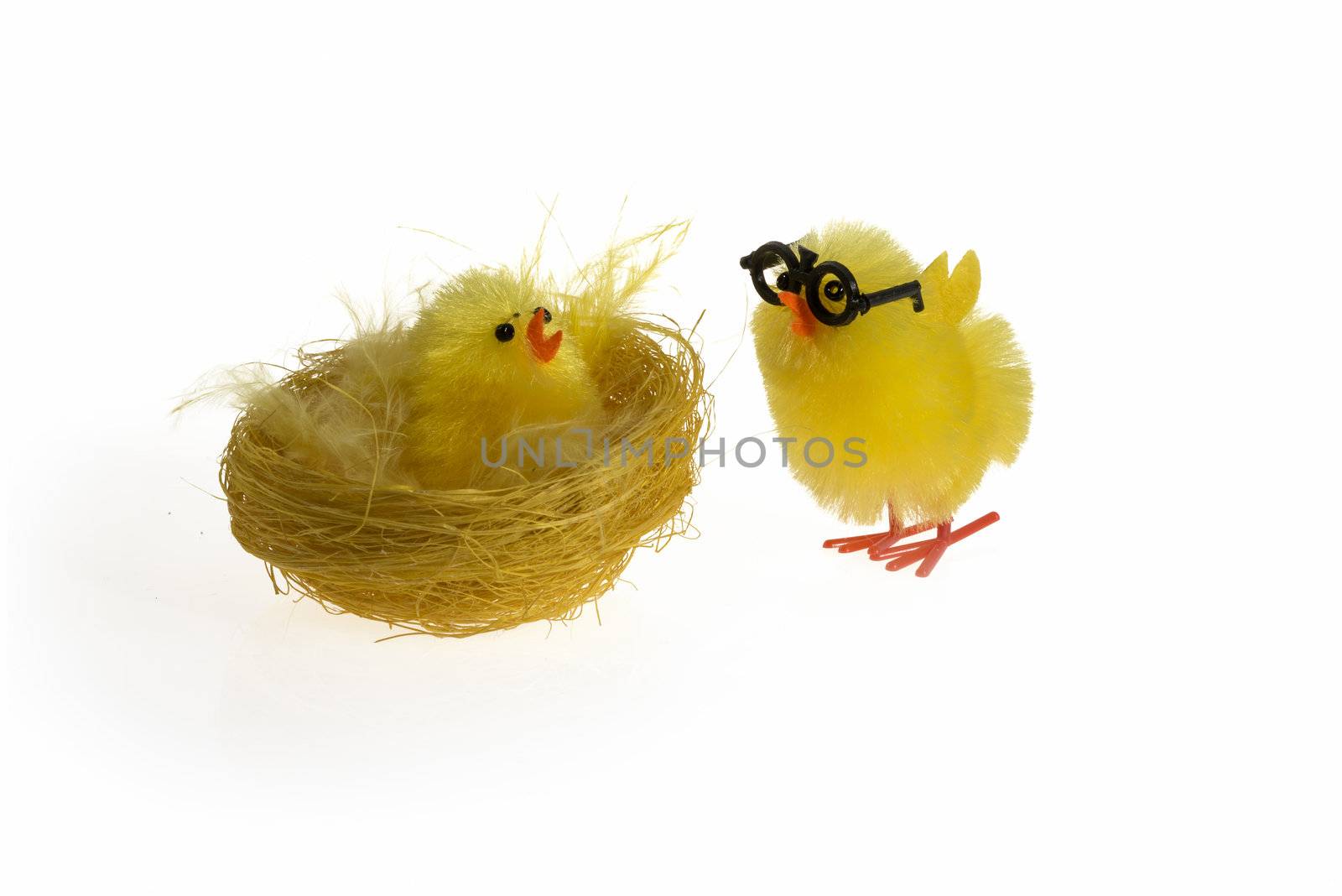 Fluffy Easter Chick grandfather with grandson isolated on white background