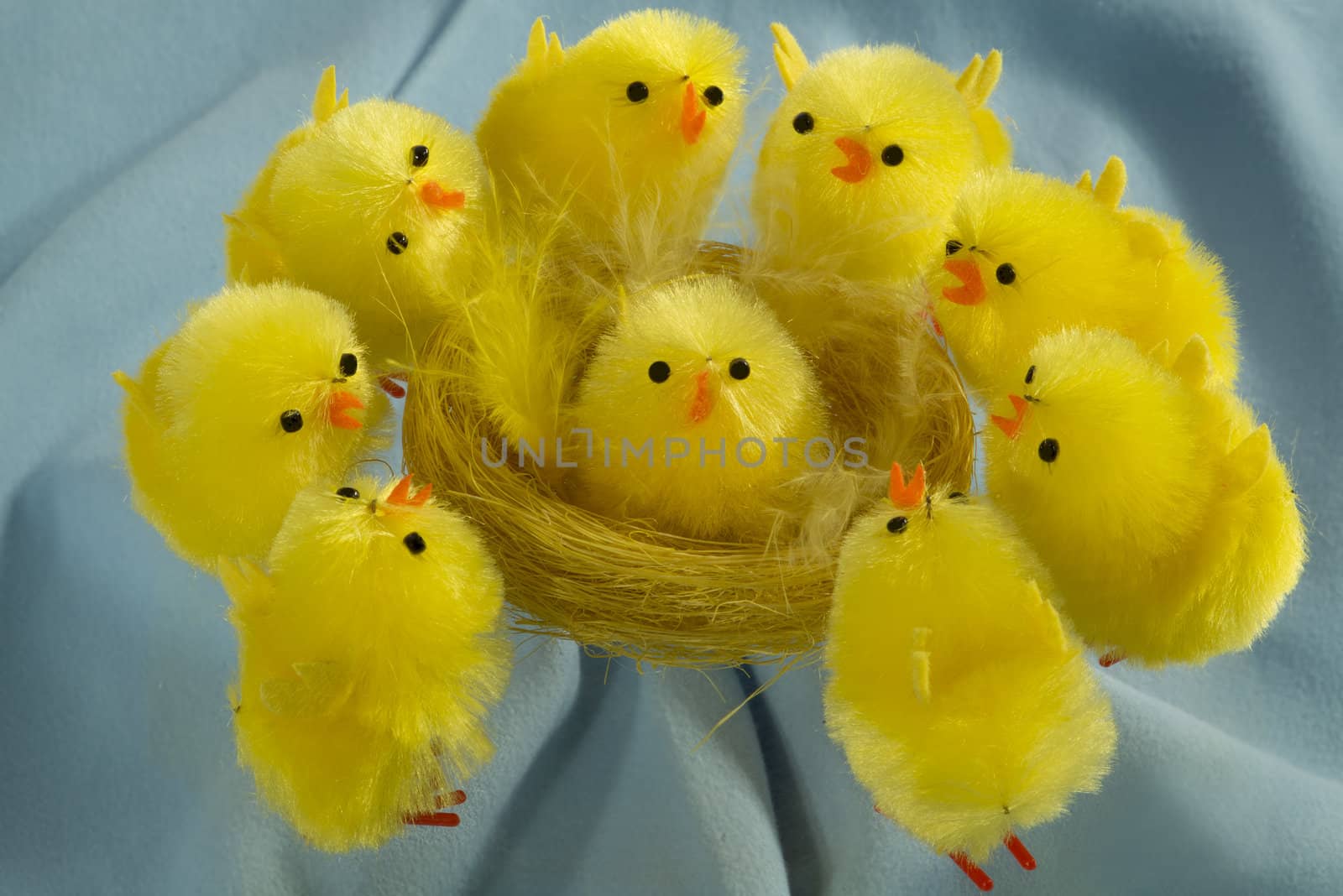 Group of Easter chicks on blue