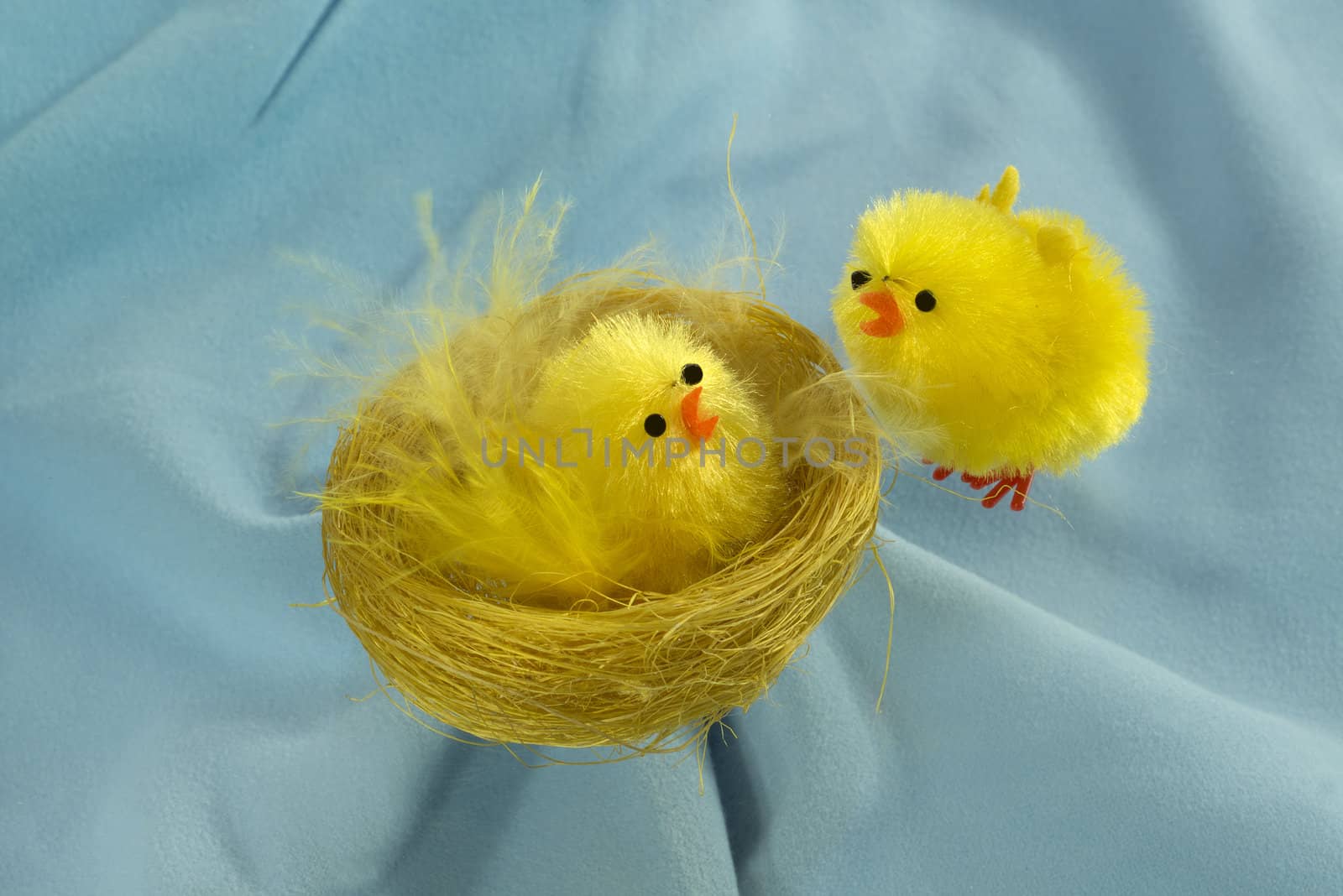 Group of Easter chicks on blue