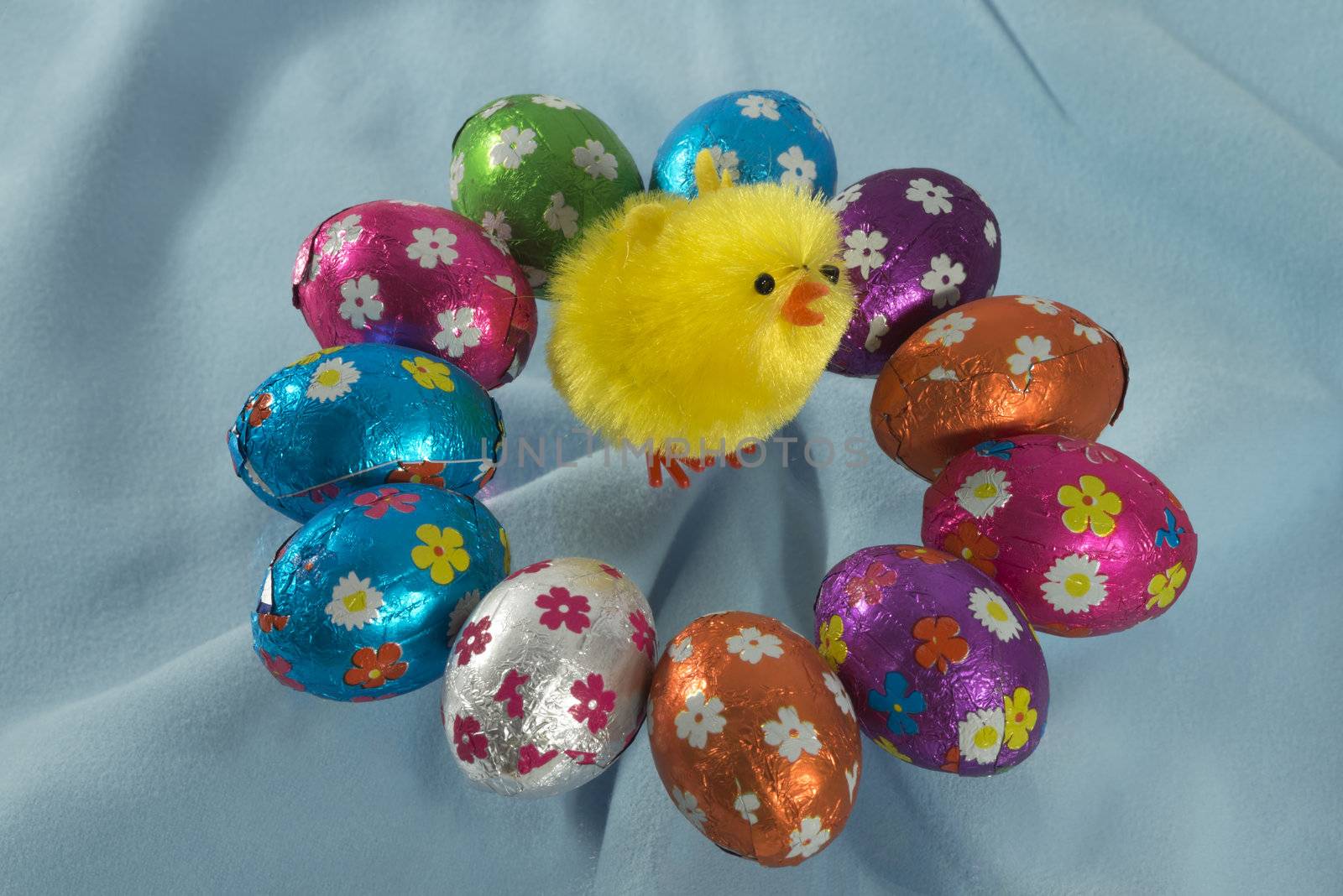 Easter chicks surrounded by chocolate eggs on blue