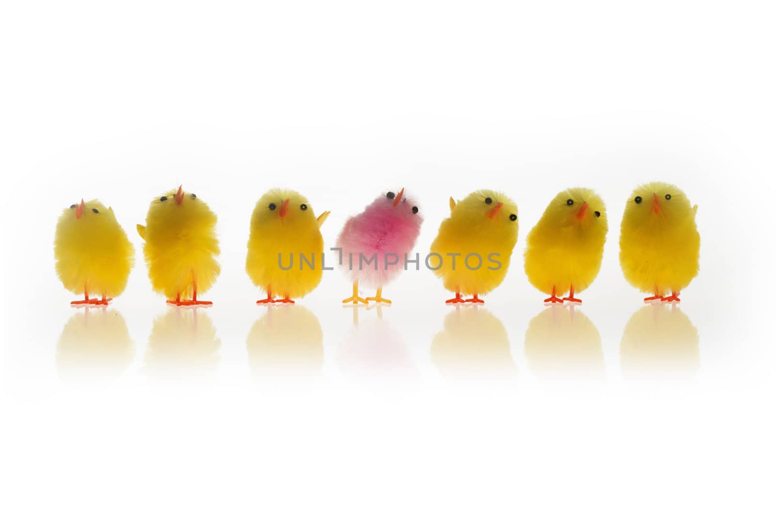 Group of Easter chicks isolated on white