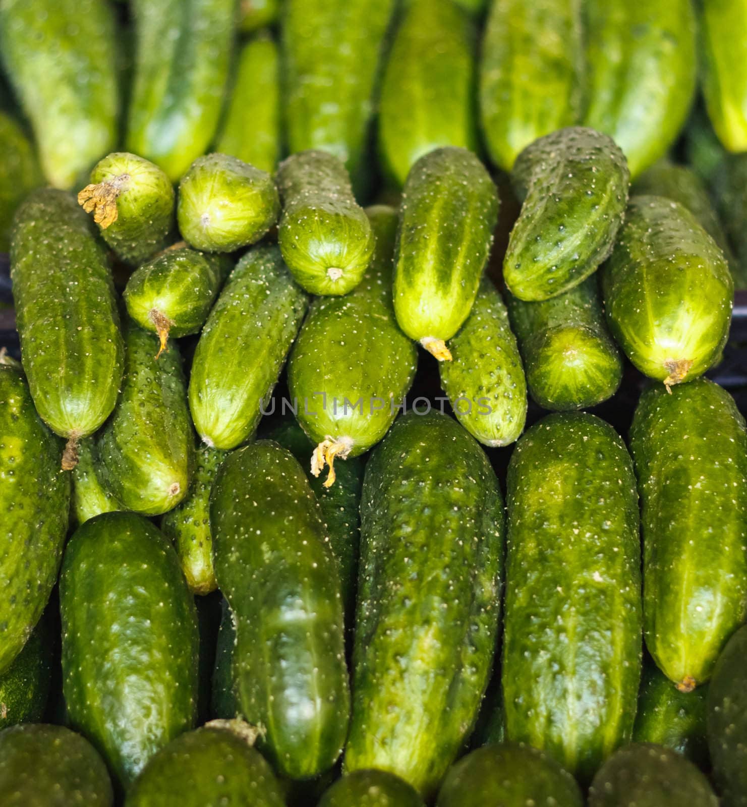 Cucumbers bunched together For Sale At Market good as a background