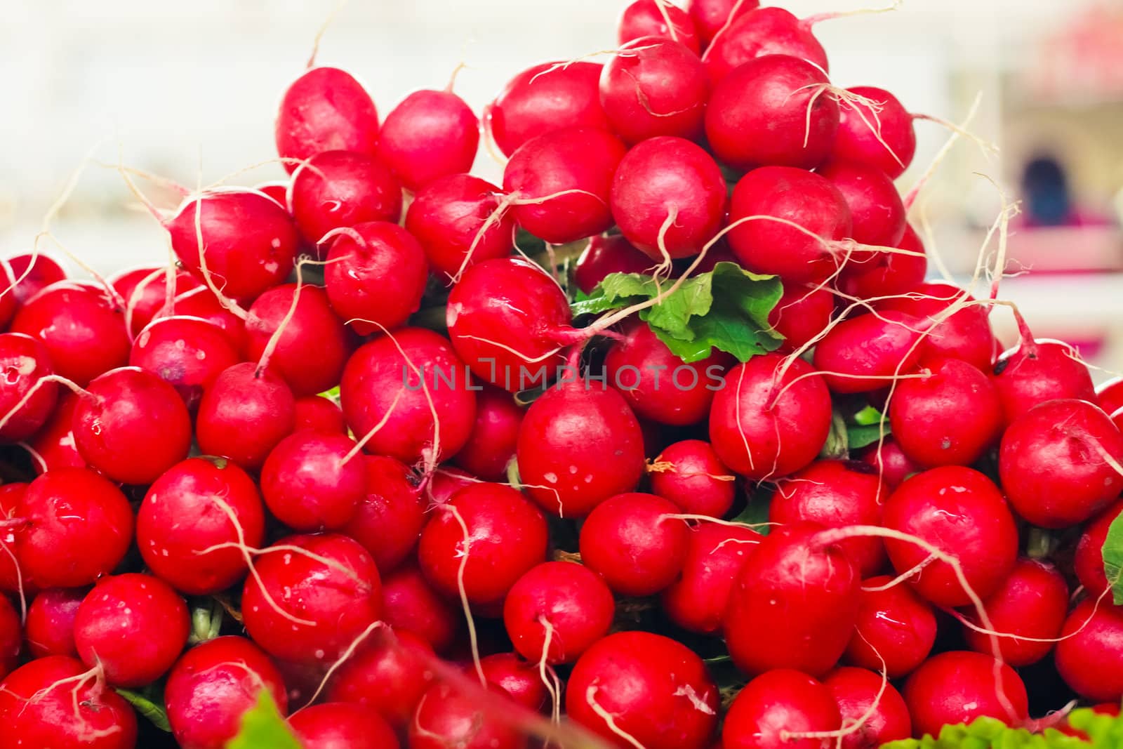 Freshly harvested radishes on display at the farmer's market. Tasty organic radish at local market