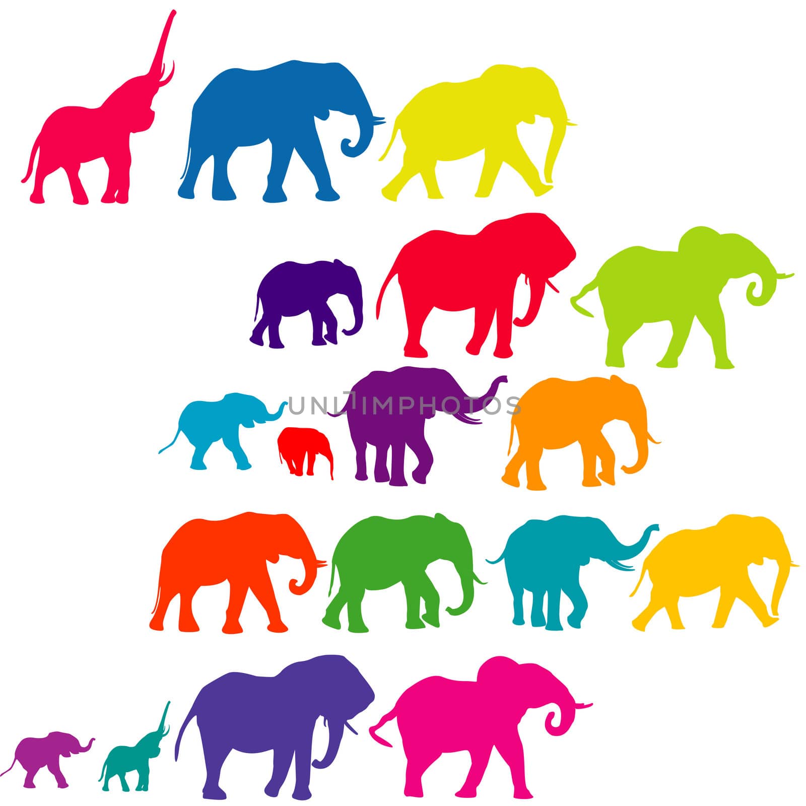 Set of elephant colored silhouettes