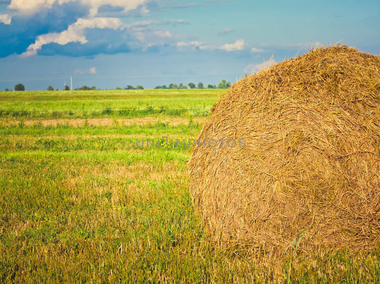 harvested field with straw bales in summer by ryhor