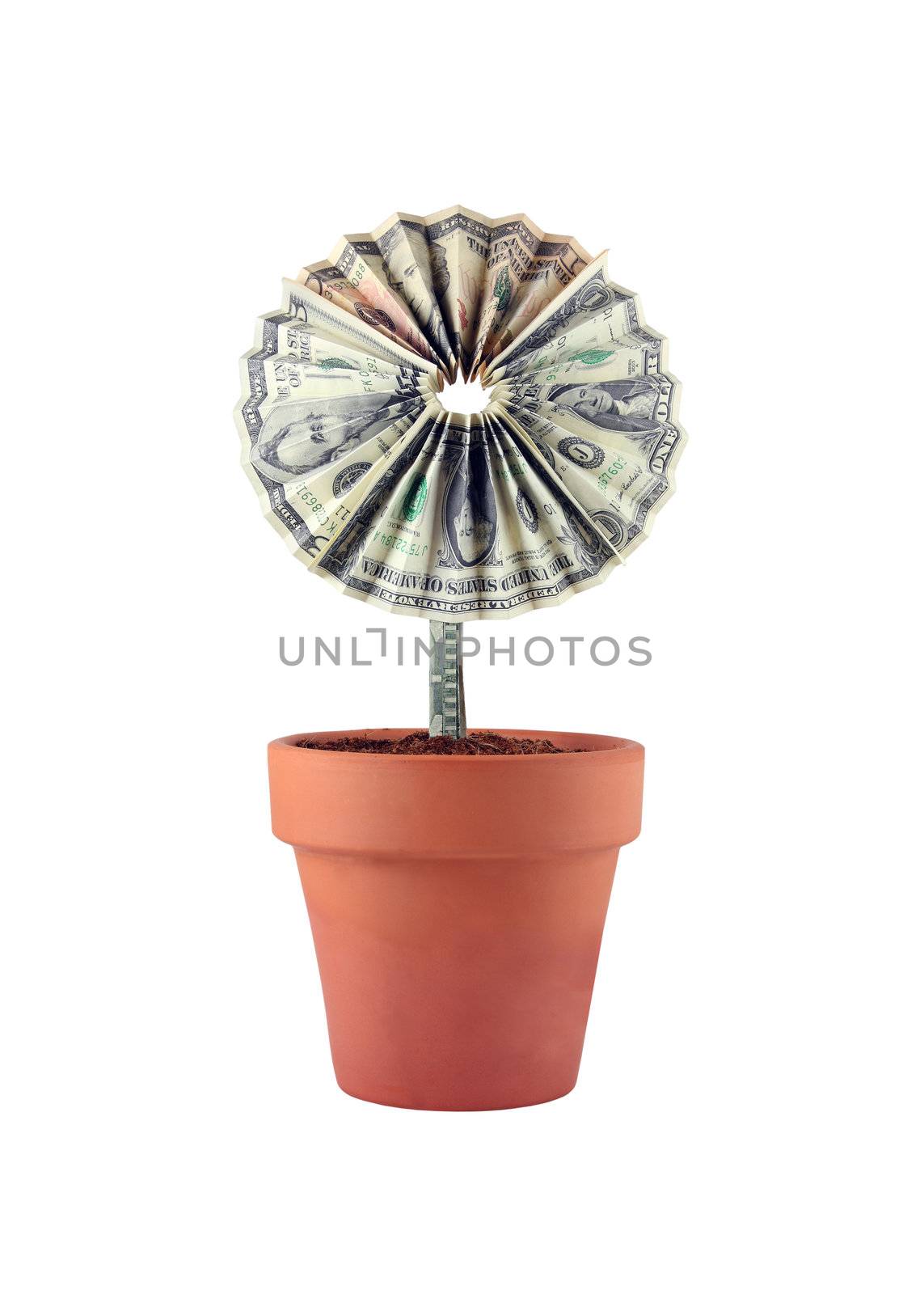 A flower made out of 1, 5, 10, and 20 dollar bills growing out of a flower pot.