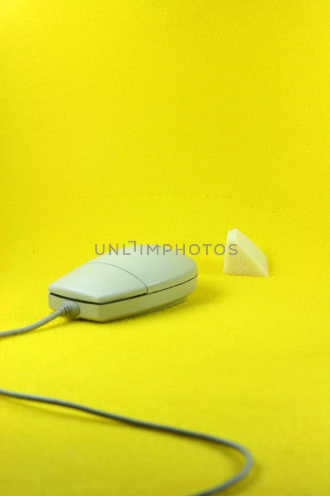 mouse going for cheese in yellow background verical business concepts humor