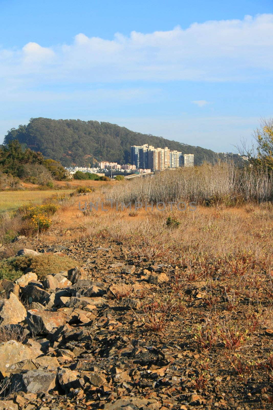 Modern buildings in a horizon on a sunny day.
