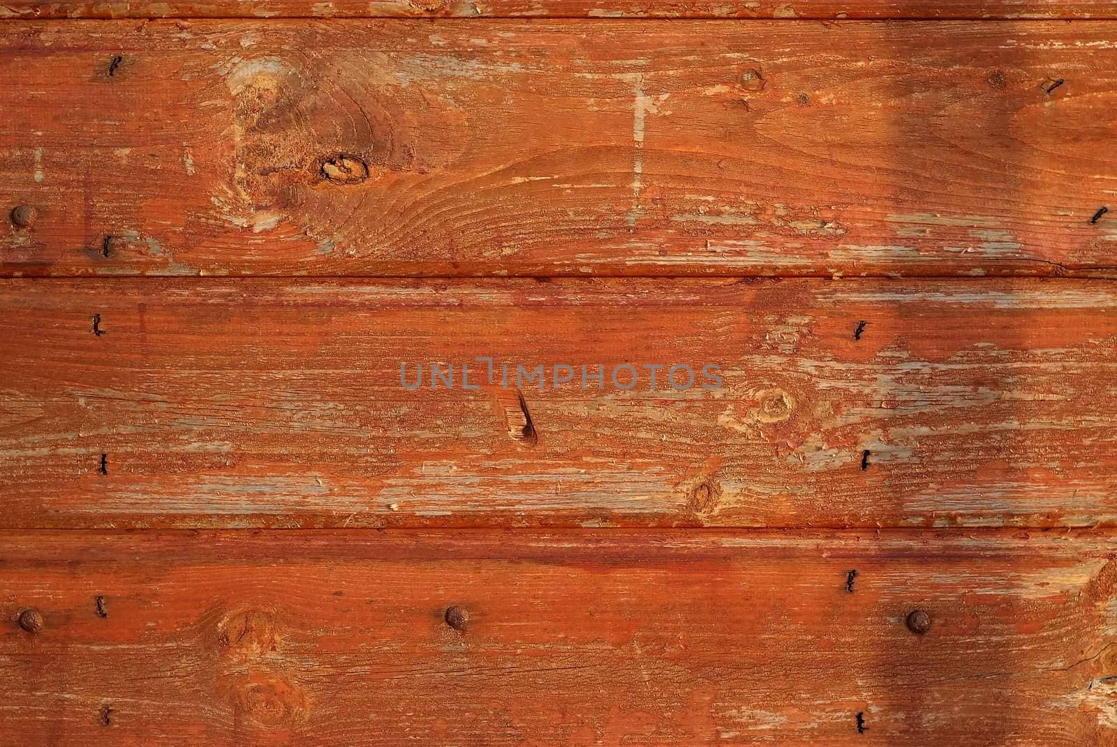 wood texture background