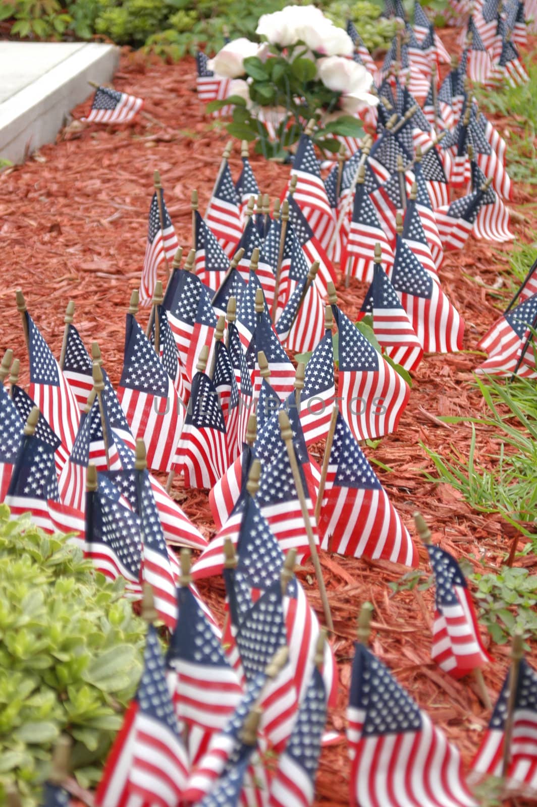 Small american flags in the ground during the fourth of July