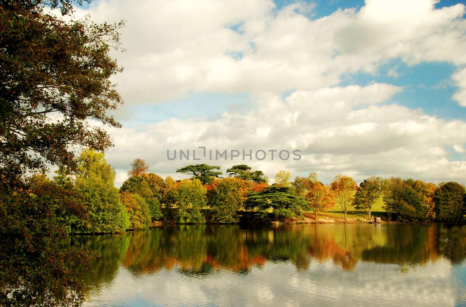 Colours of Autumn in United Kingdom