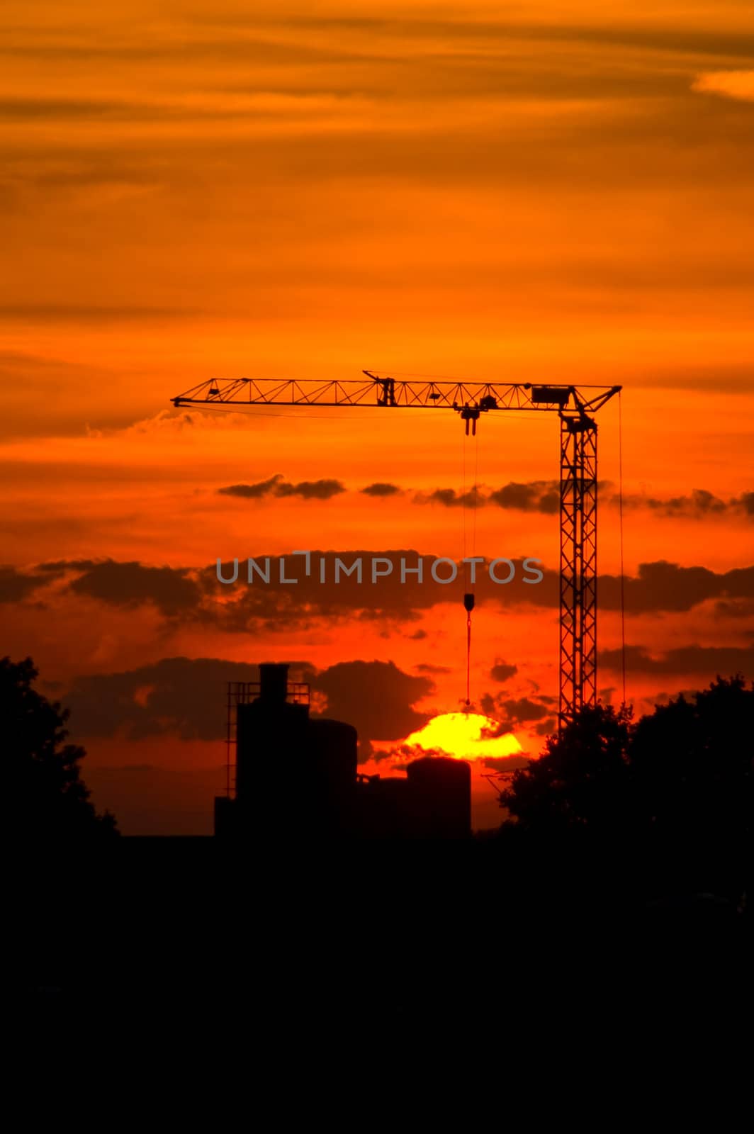 crane sunset  by karinclaus