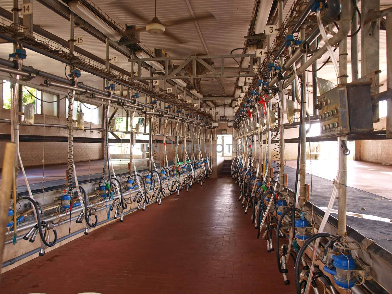 Modern computerized creamery milking parlour in a farm