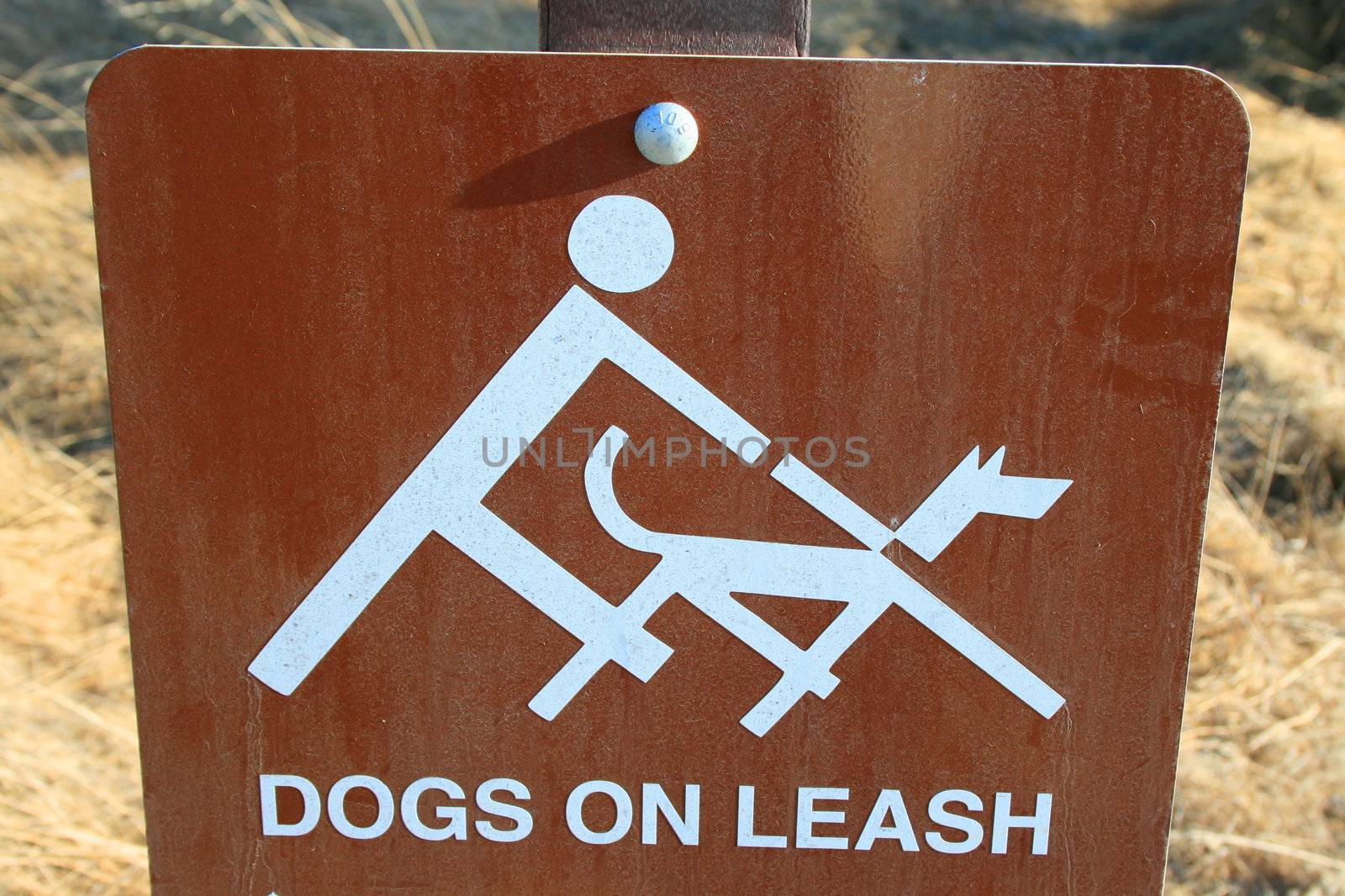 Close up of dogs on leash sign.
