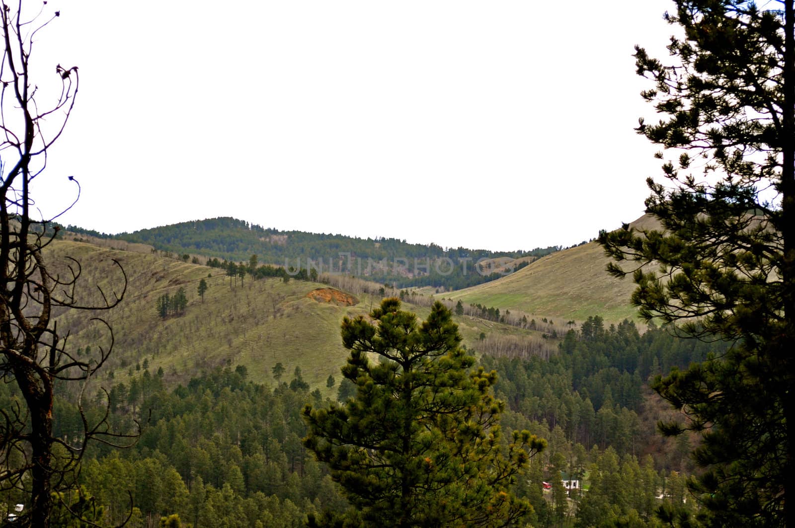 Black Hills South Dakota-1-15 by RefocusPhoto