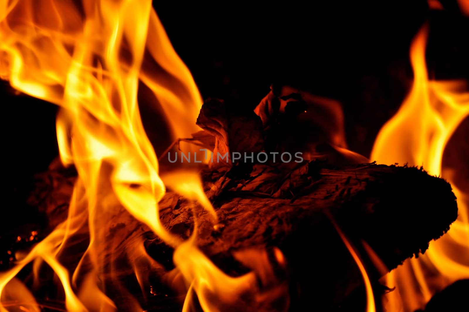 Campfire Flames by RefocusPhoto