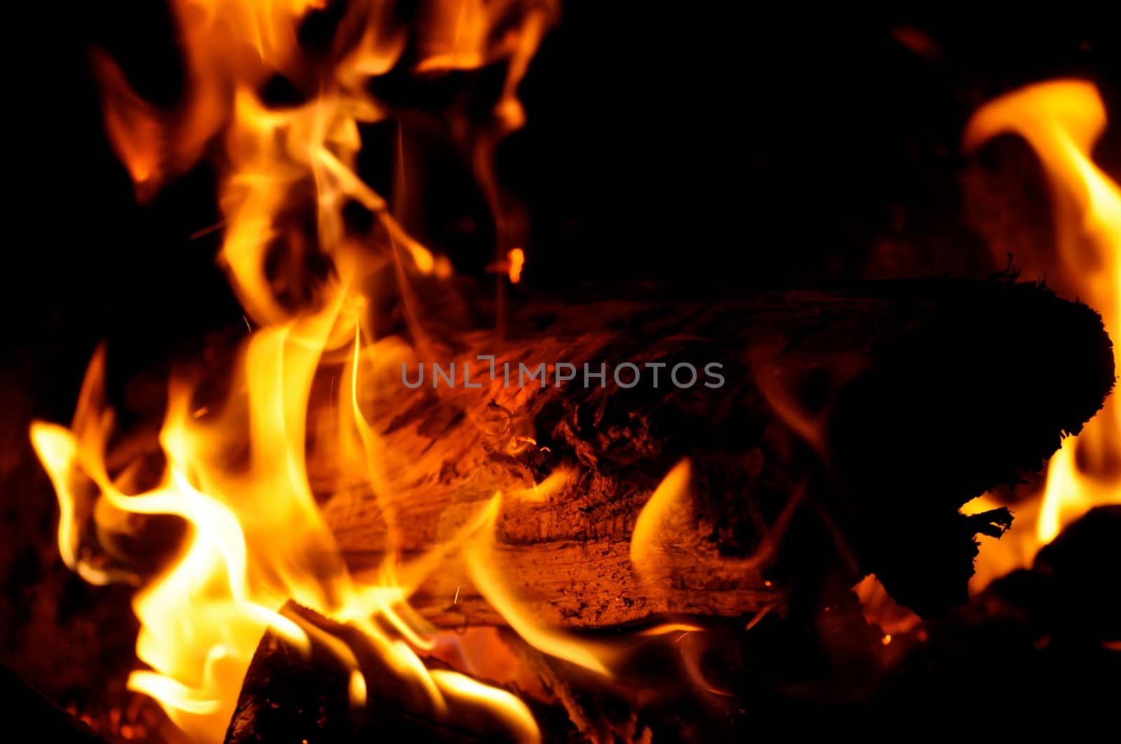 Campfire Flames by RefocusPhoto