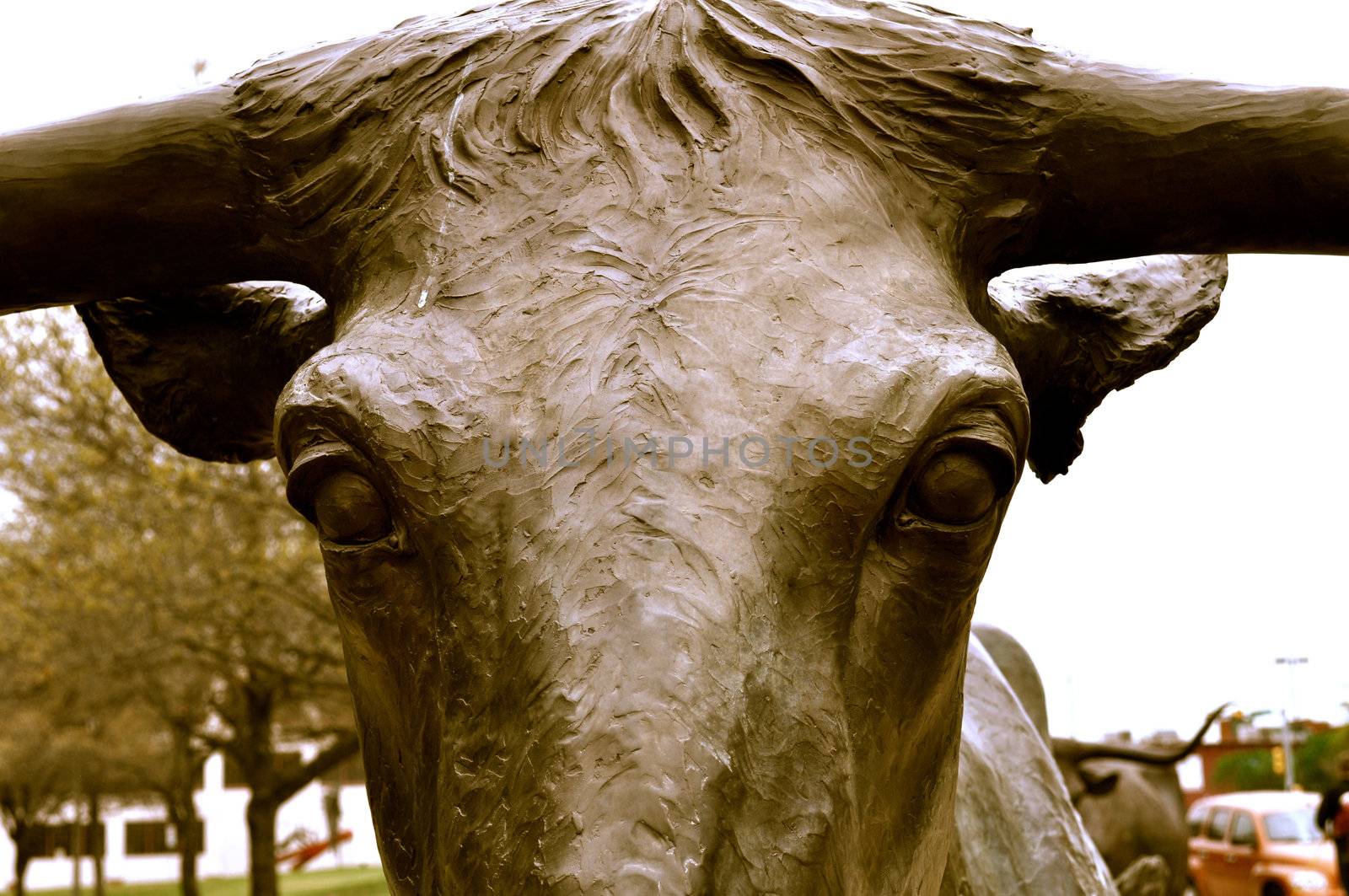Waco statue longhorn closeup by RefocusPhoto