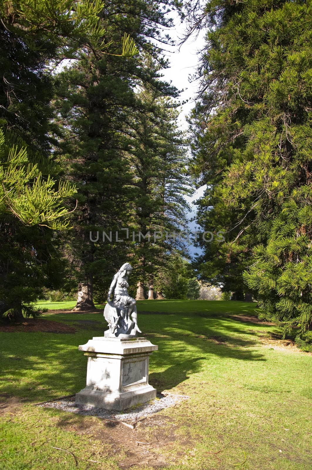 statue monument in the botanic garden in adelaide, australia