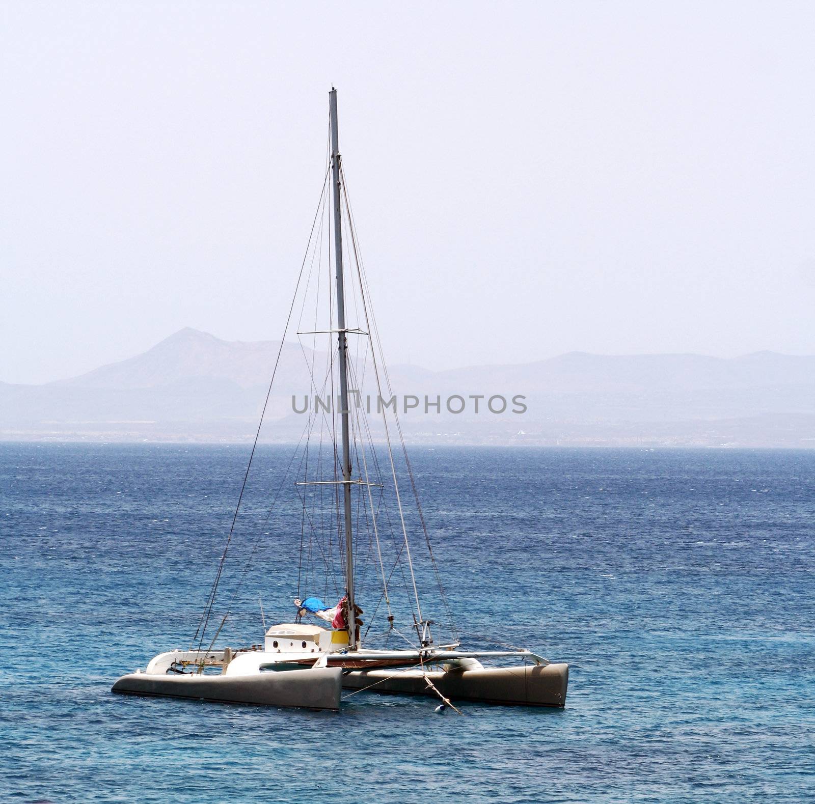 Sailing trimaran near Lanzarote, Canarias.