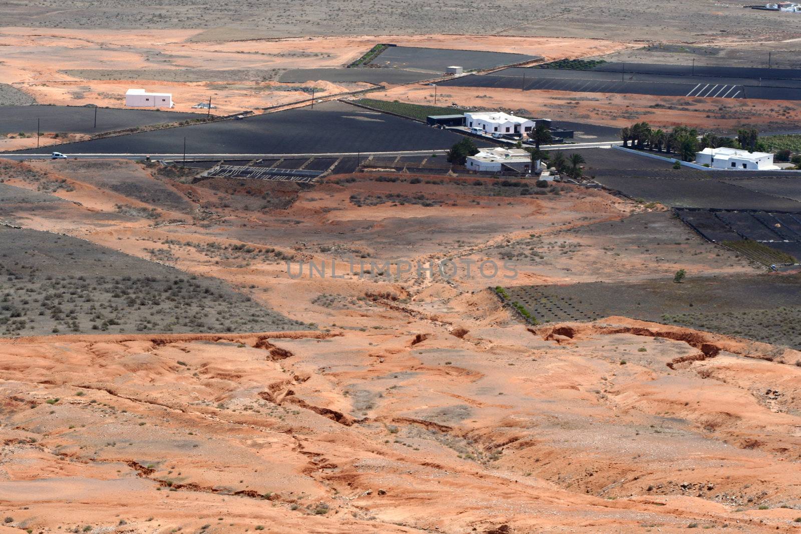 Lanzarote Island, landscape by adrianocastelli