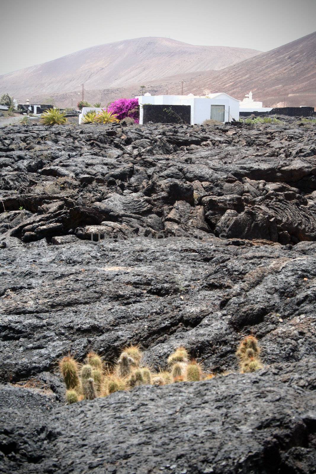 Landscape image from the isle of Lanzarote, Canarias.