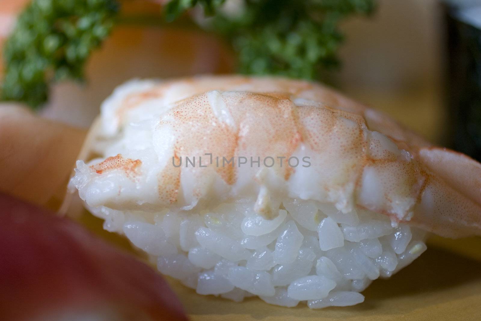 Photo of Sushi, Delicious Japanese food