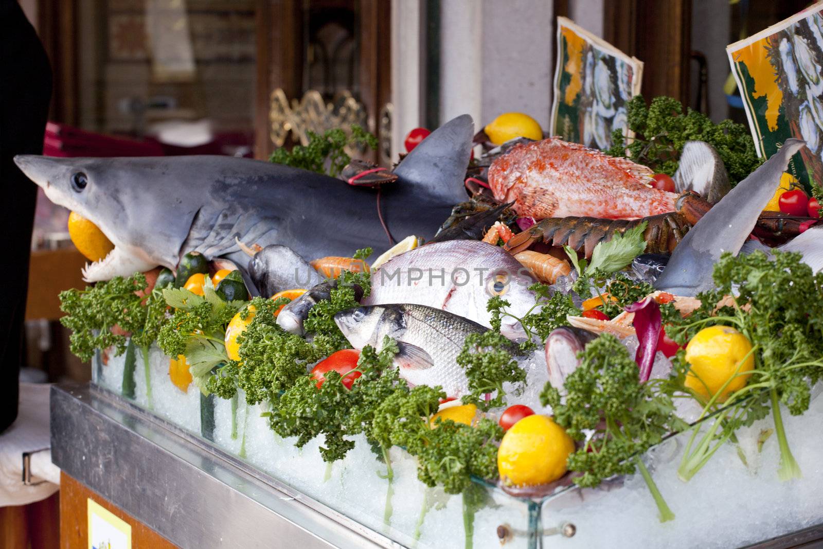 Fresh fish in the fish market