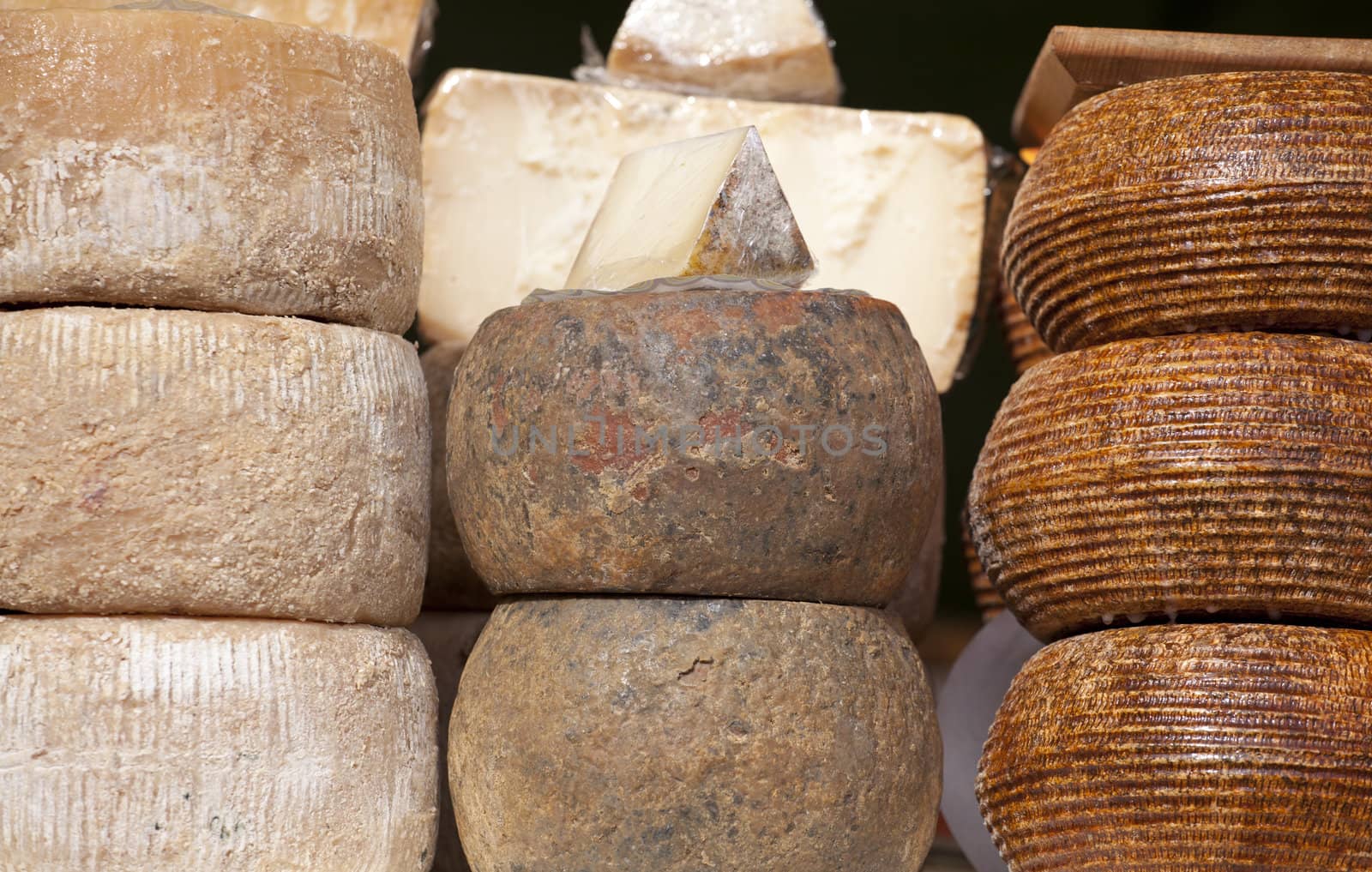 Photo of delicious italian cheese