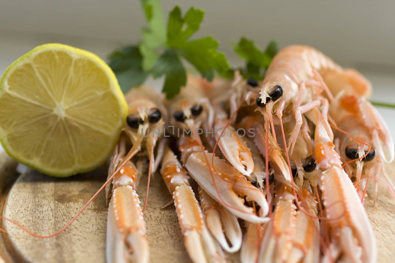 Close up of fresh scampi