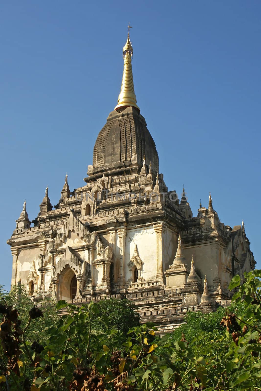 Gawdawpalin Temple, Bagan, Myanmar by alfotokunst