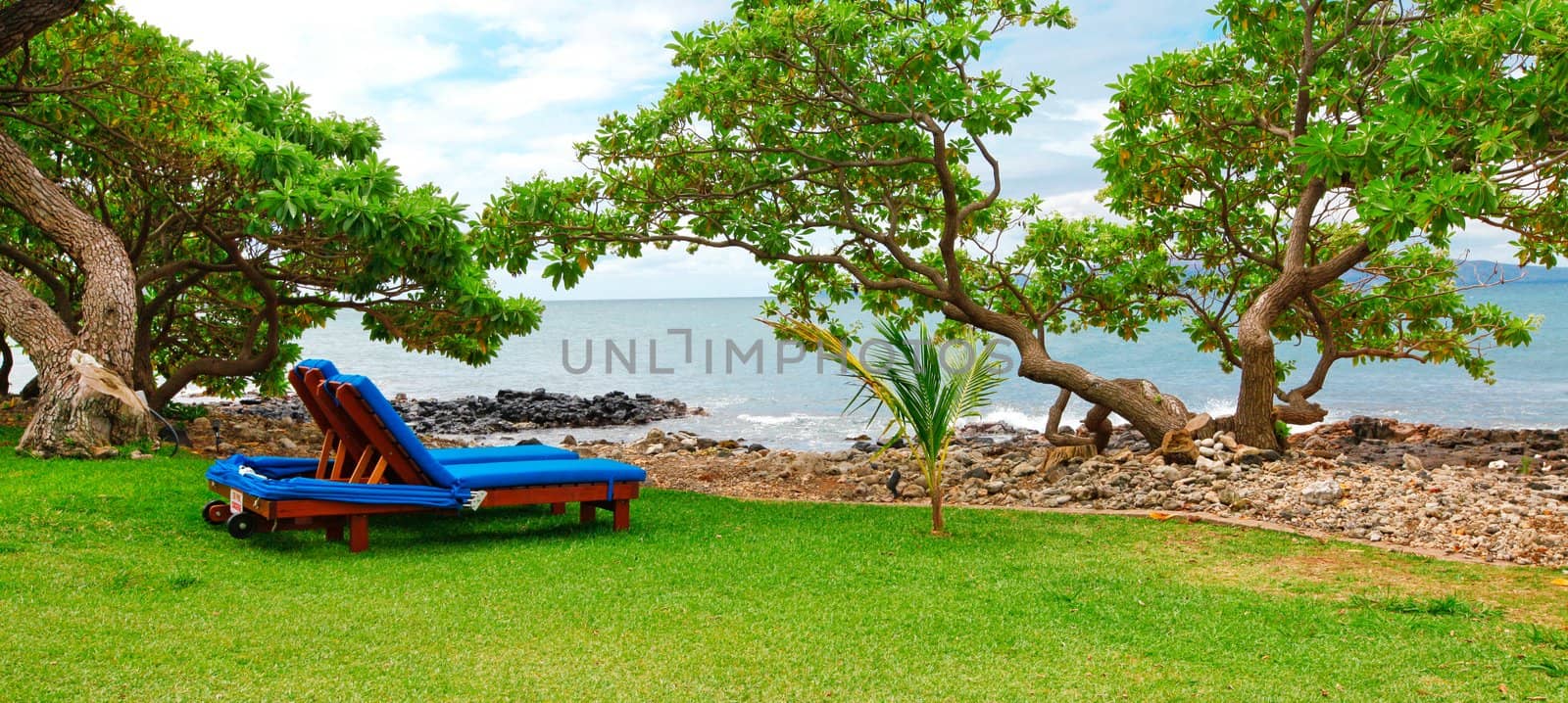 Tropical beach with trees and two blue chairs on the grass.