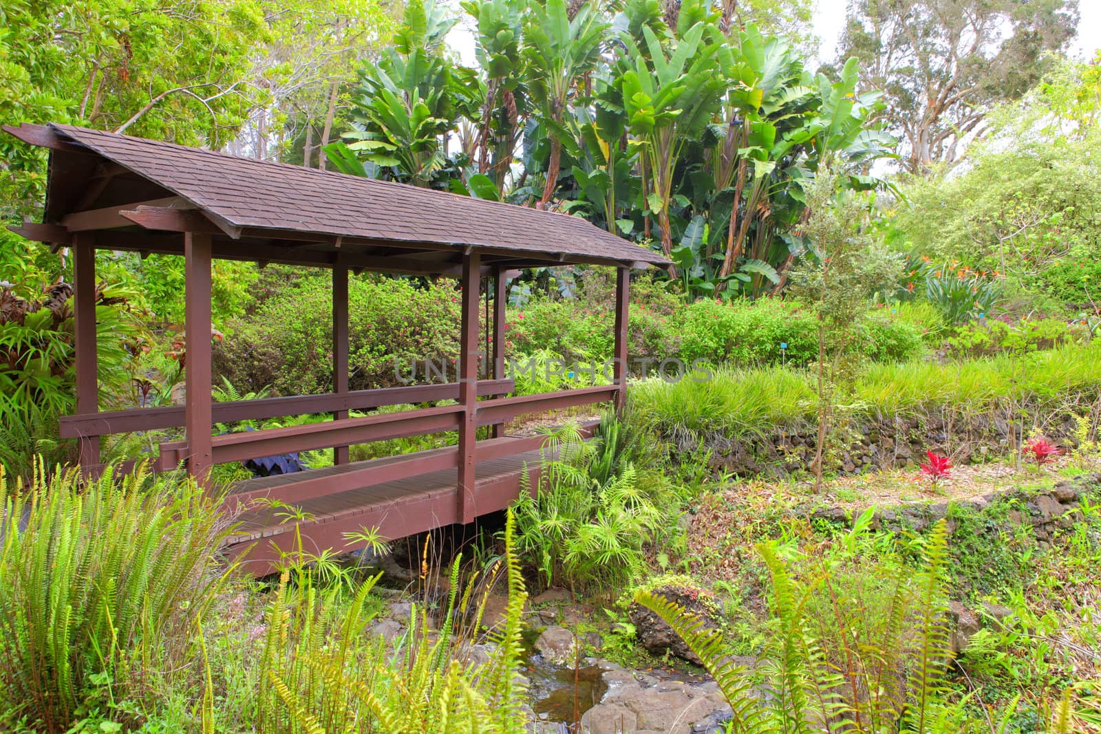 Kula Botanical Garden. Maui. Hawaii. Covered bridge. Tropical landscape.