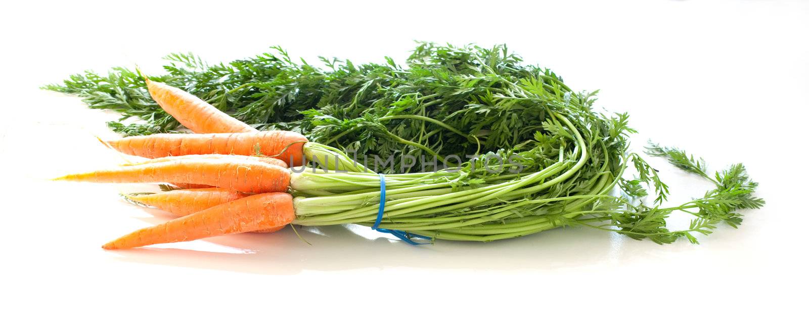 Carrots on white background