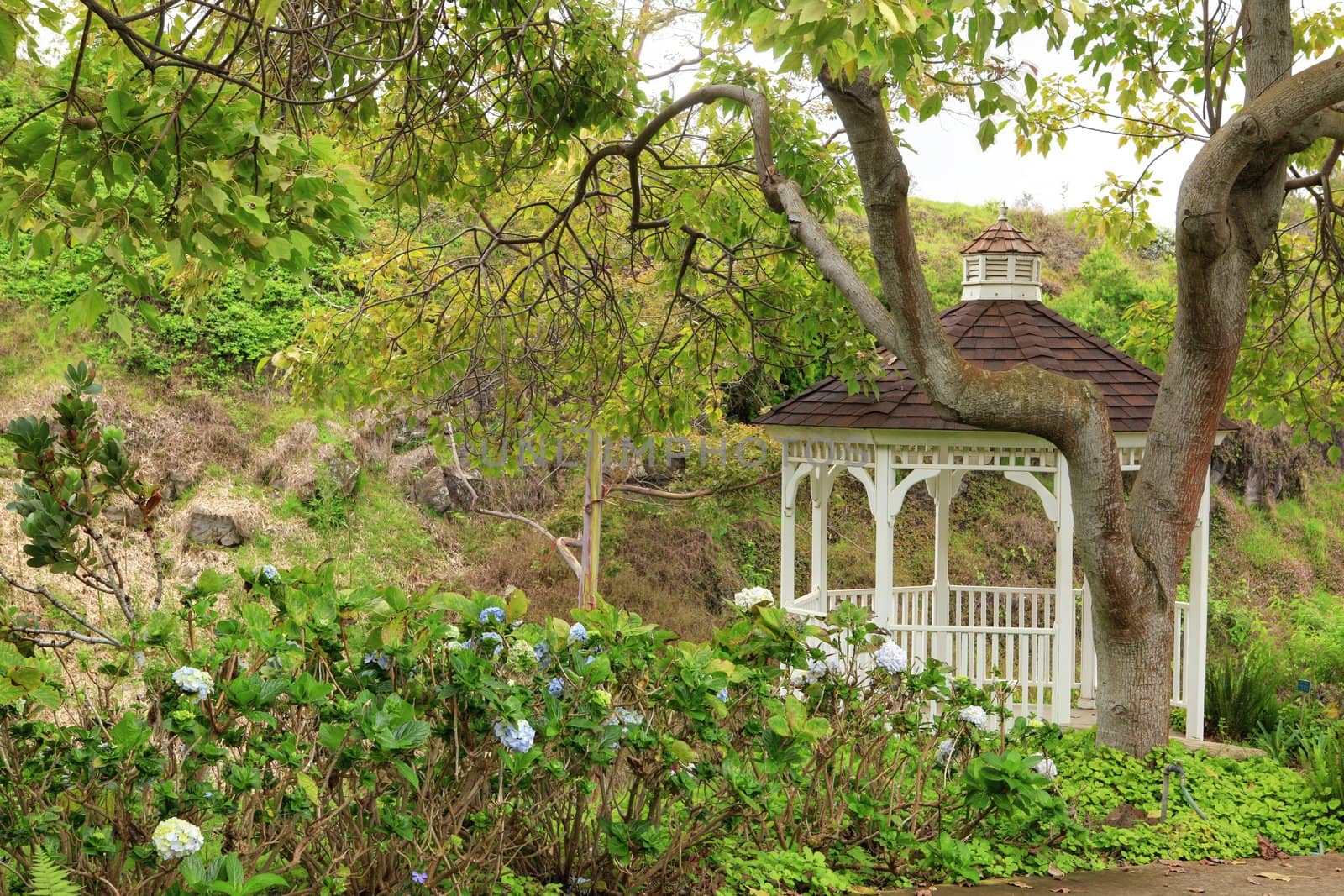 Kula Botanical Garden. Maui. Hawaii. White gazebo. Tropical landscape.