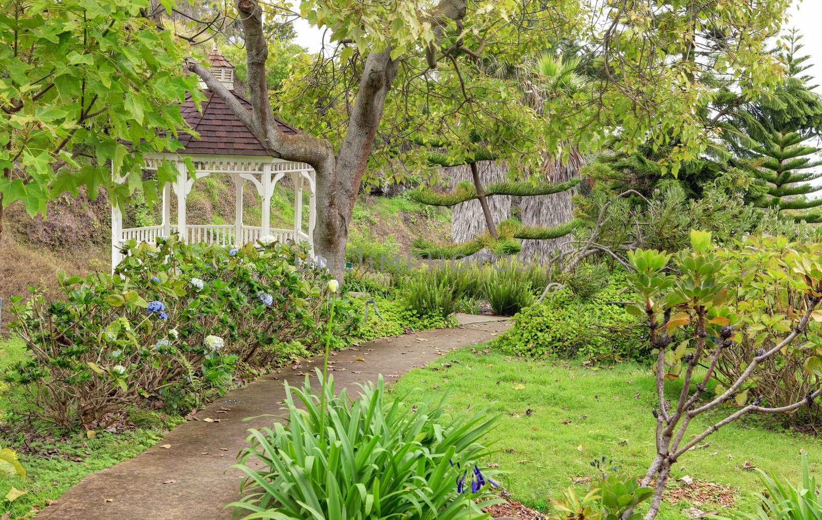 Kula Botanical Garden. Maui. Hawaii. White gazebo. Tropical landscape.