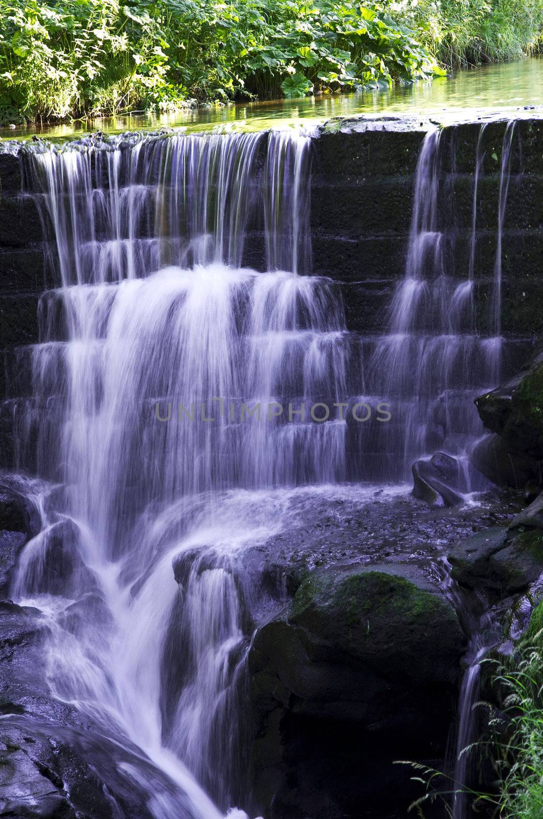 Waterfall in the forest