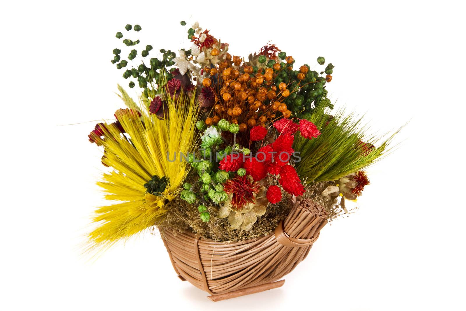 Composition of dried flowers and wheat - isolated