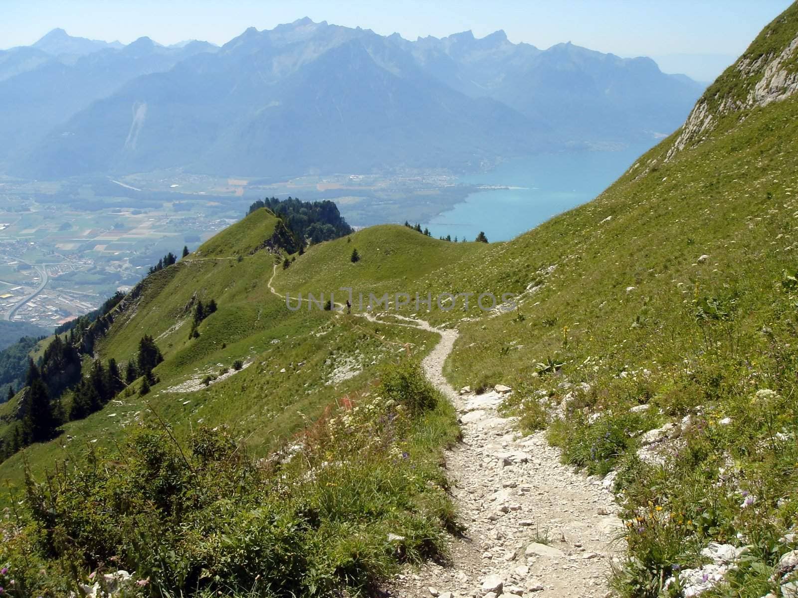 View on the Alps mountains, Villereuse city and lake of Geneva by beautiful summer day, Switzelrand