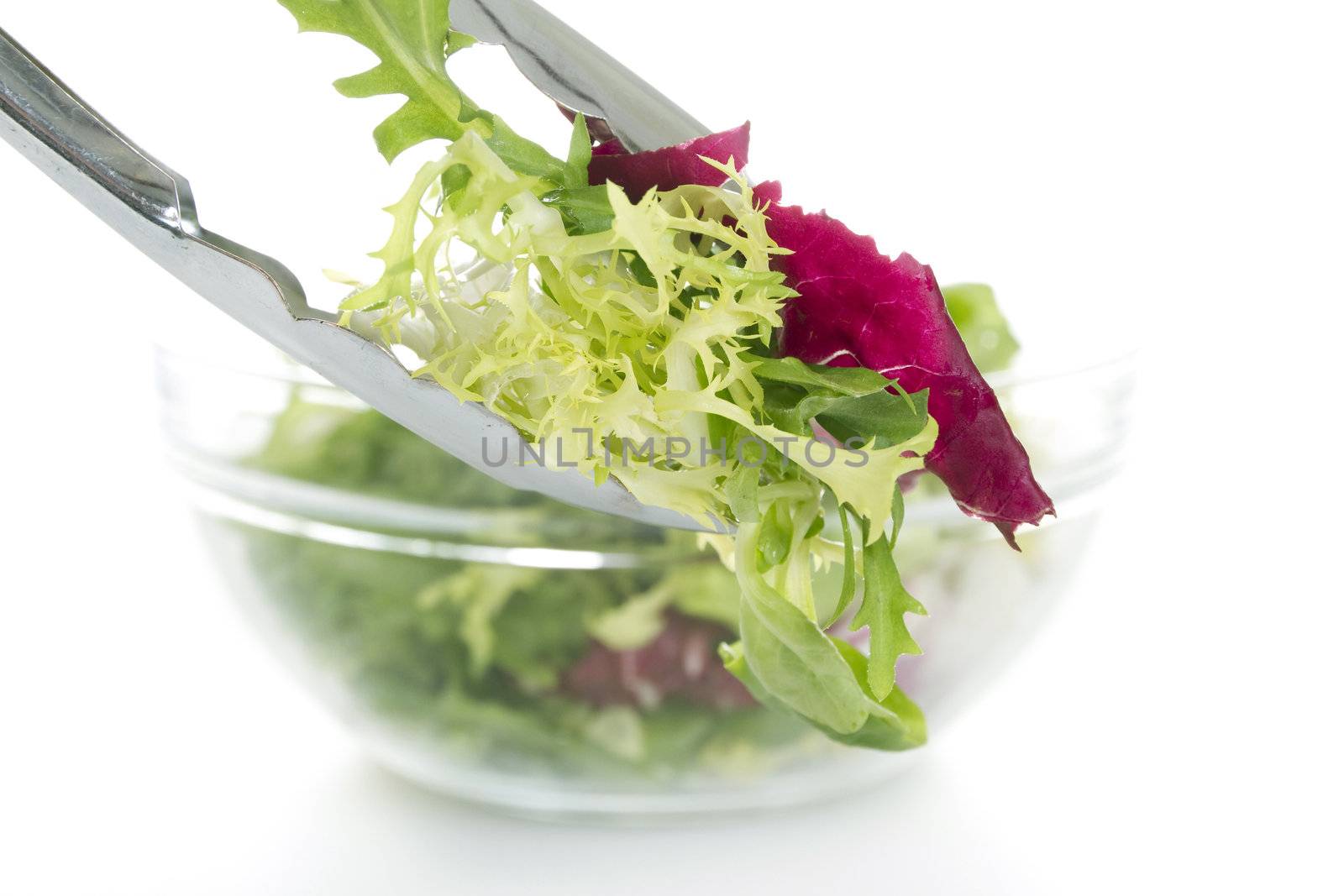 Fresh various salad leaves isolatet over white background