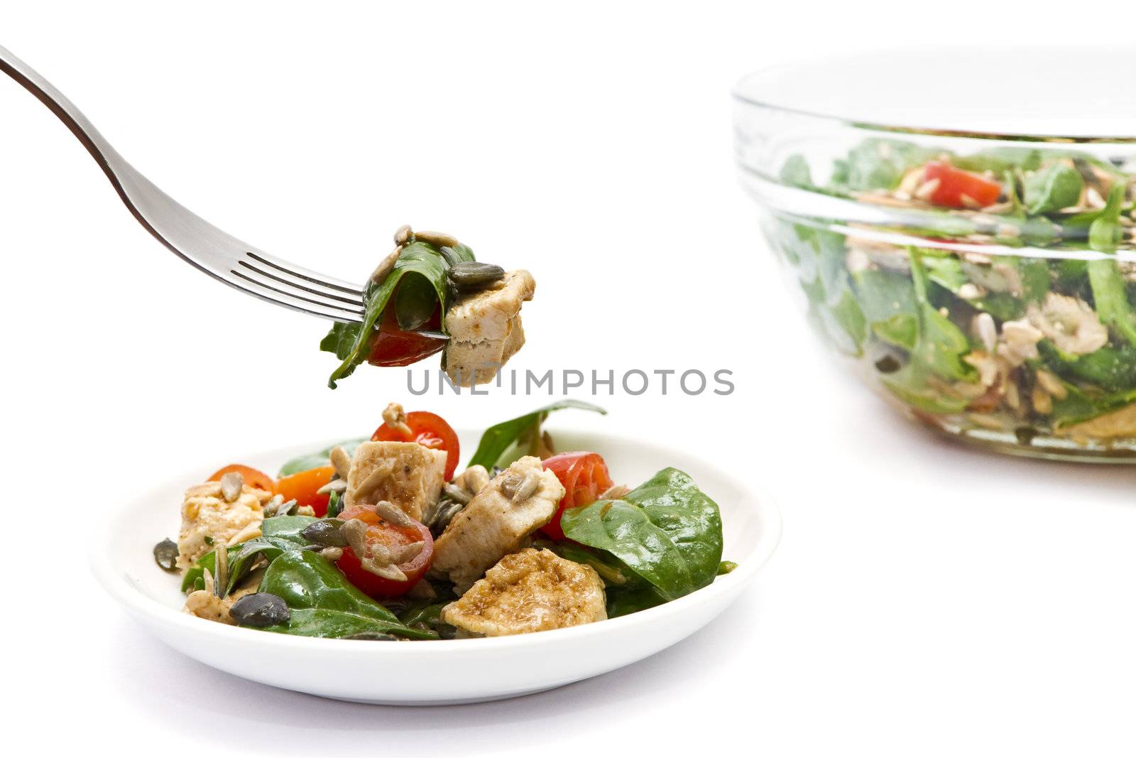 Spinach and chicken salad over white background