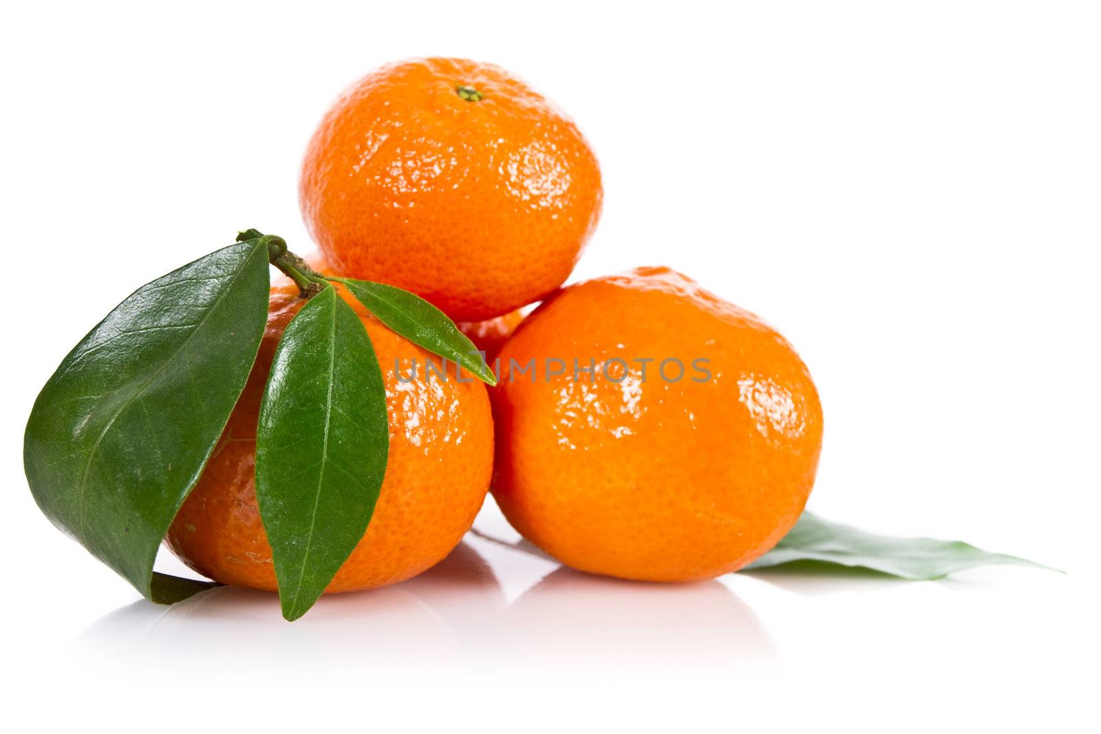 Mandarine fruits with leaves isolated over white