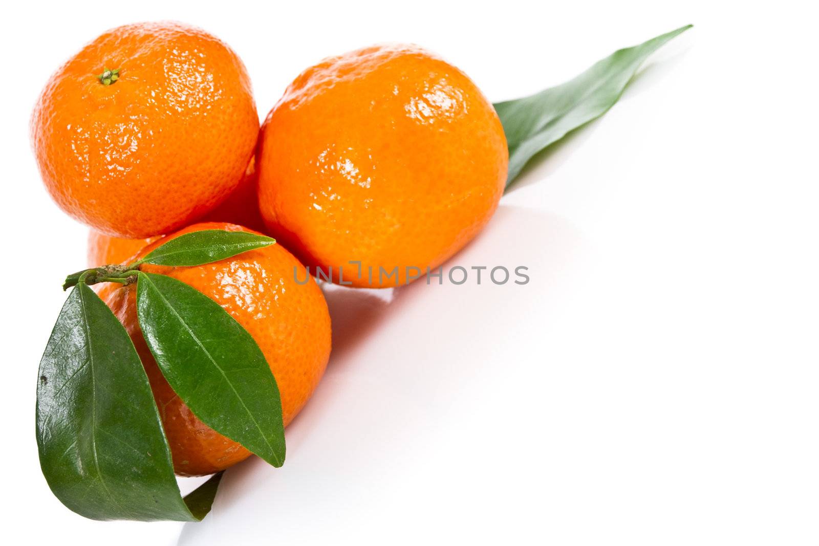 Mandarine fruits with leaves isolated over white