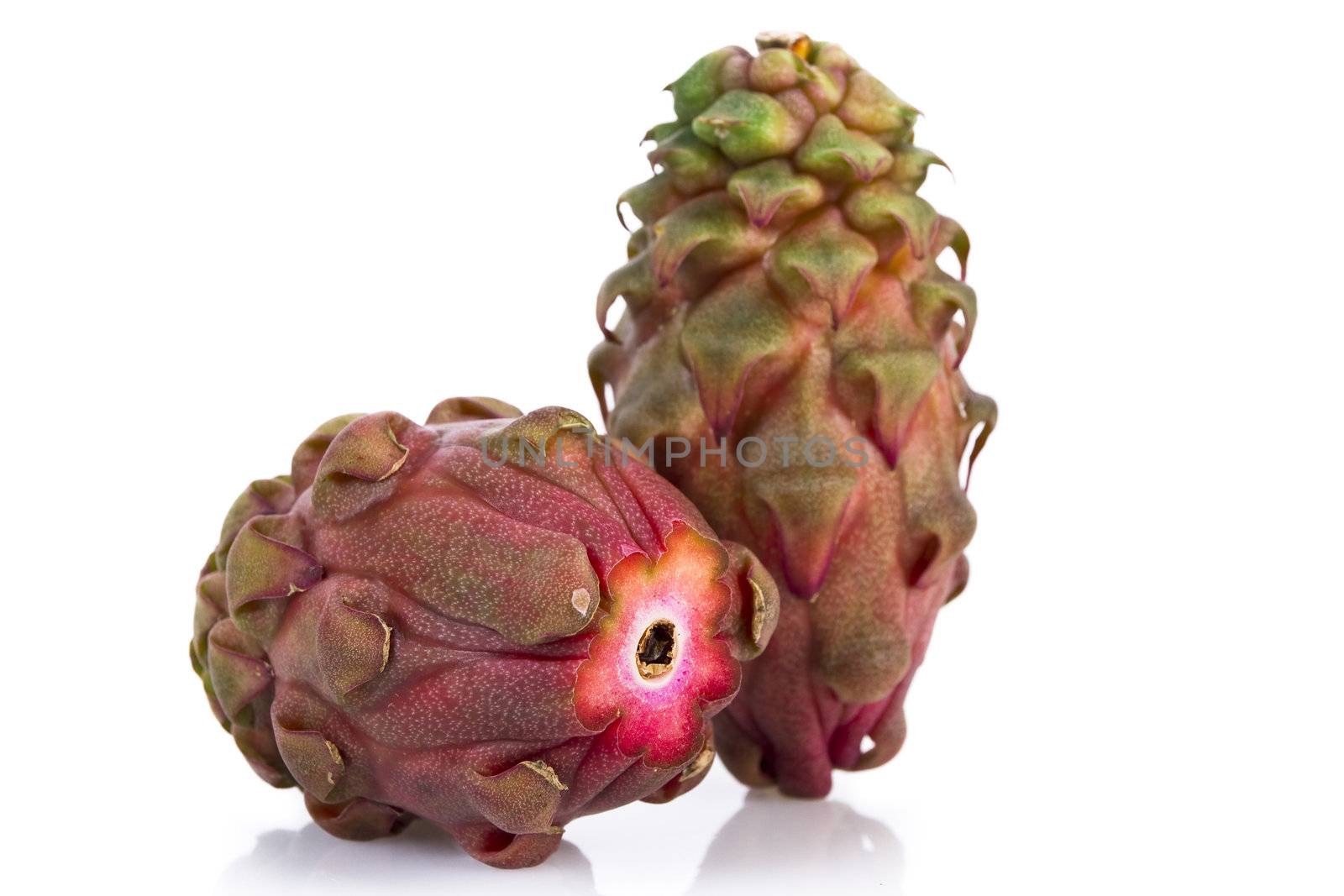 Dragon fruits isolated over white